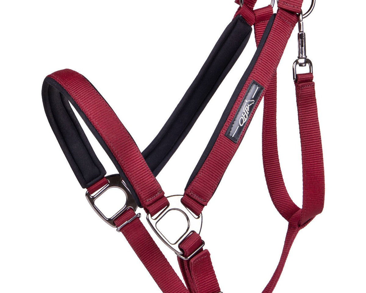 Shire Horse Deluxe Headcollar - Nags Essentials