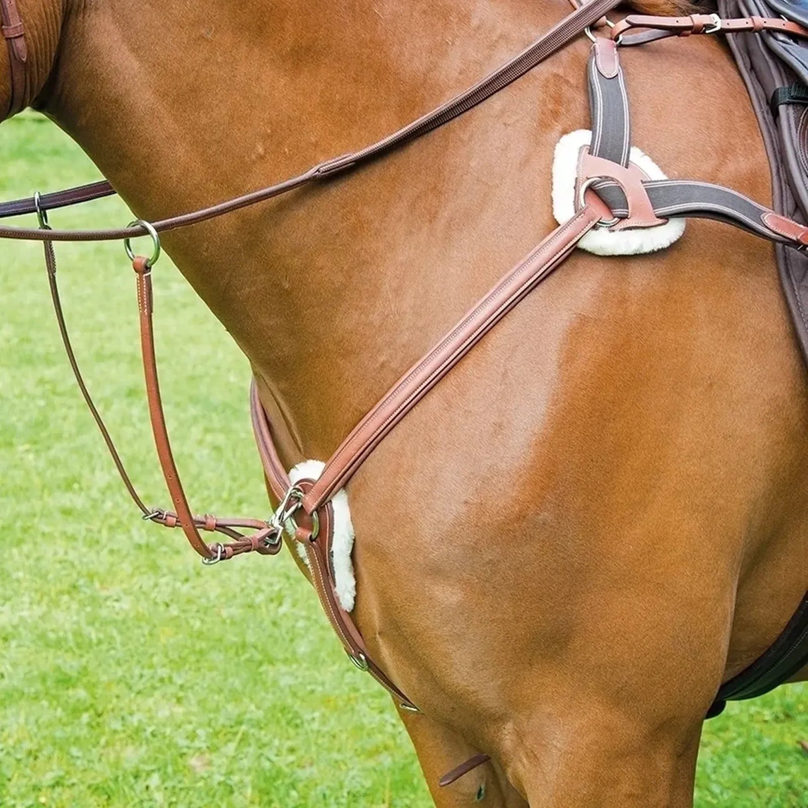 Shires Avignon 5 Point Breastplate - Nags Essentials