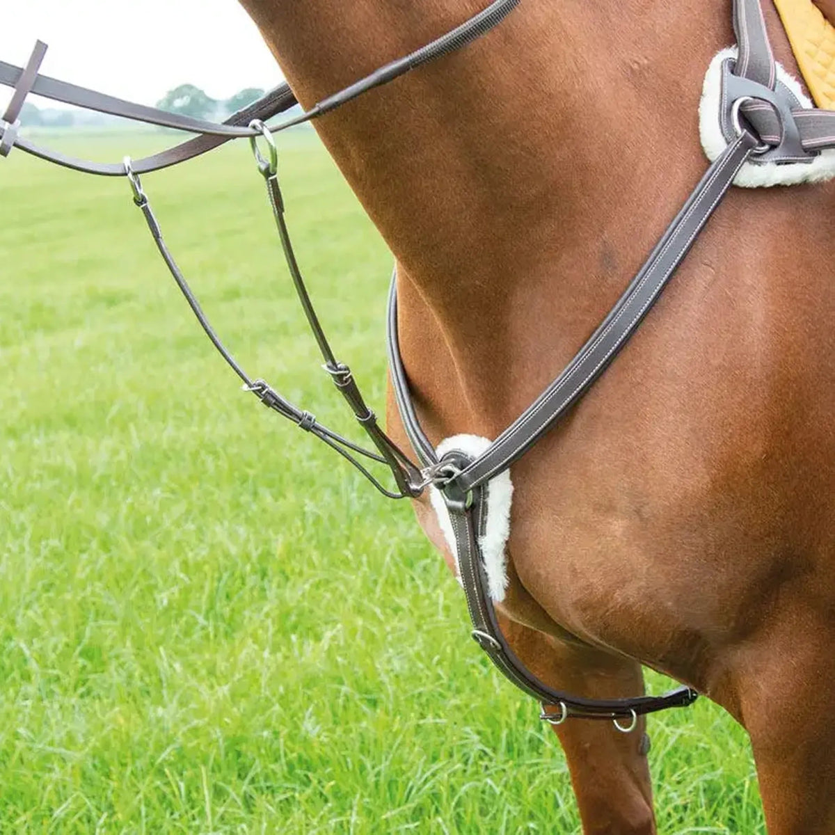 Shires Avignon 5 Point Breastplate - Nags Essentials