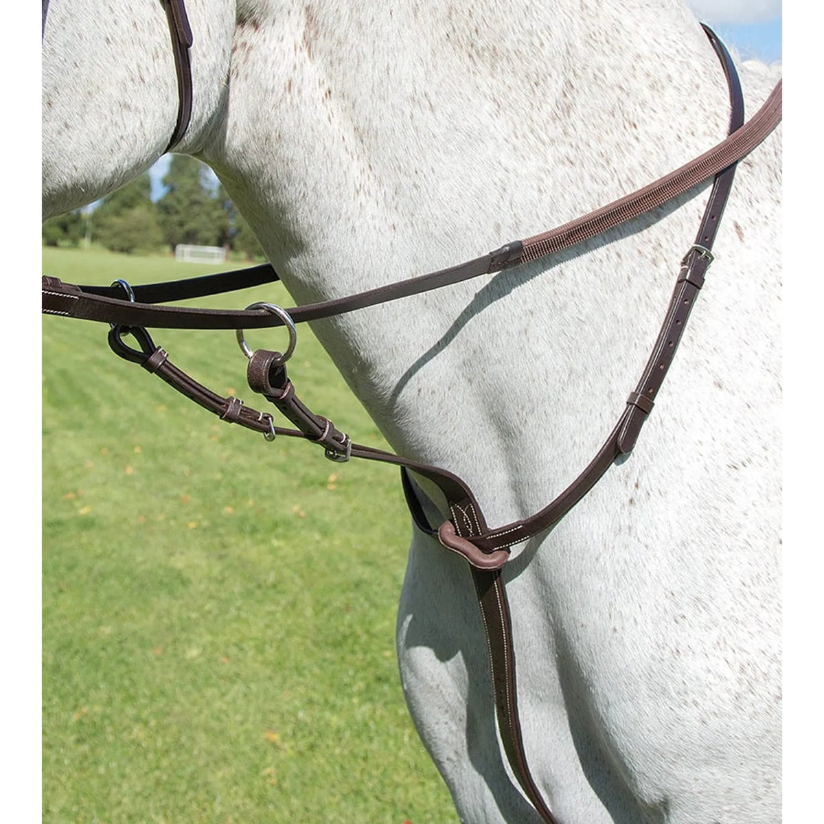 Shires Avignon Running Martingale Havana - Nags Essentials