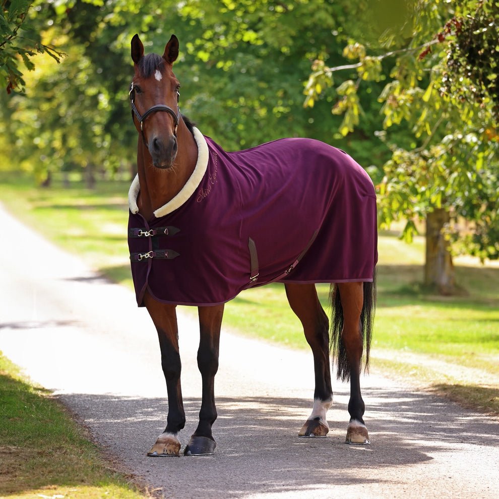 Shires Deluxe Fleece Rug - Nags Essentials