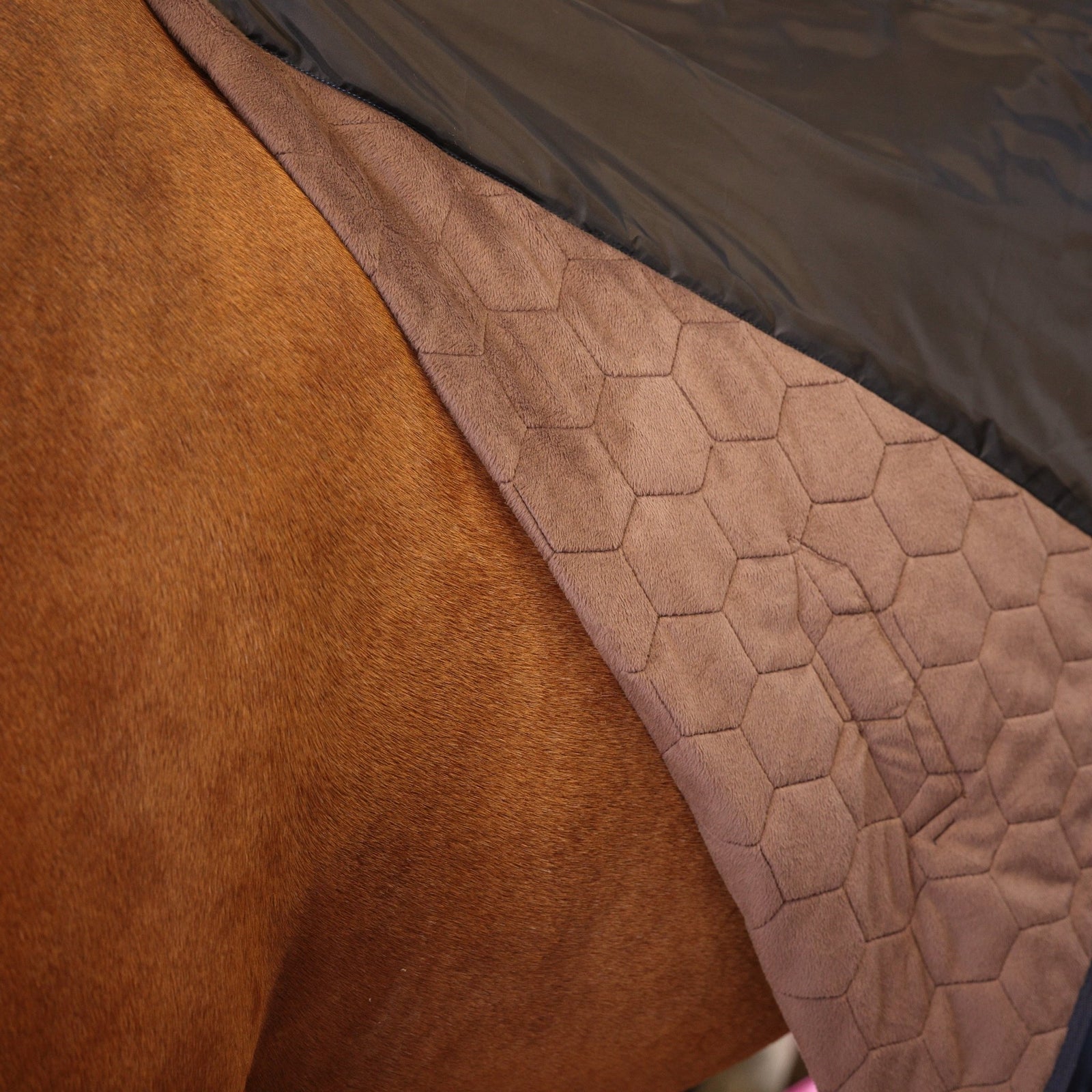 Shires Deluxe Quilted Rug - Navy - Nags Essentials