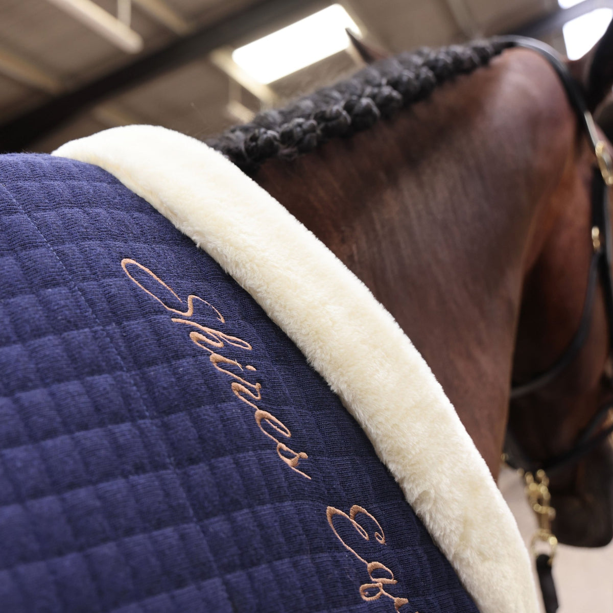 Shires Deluxe Tech Cooler - Navy - Nags Essentials