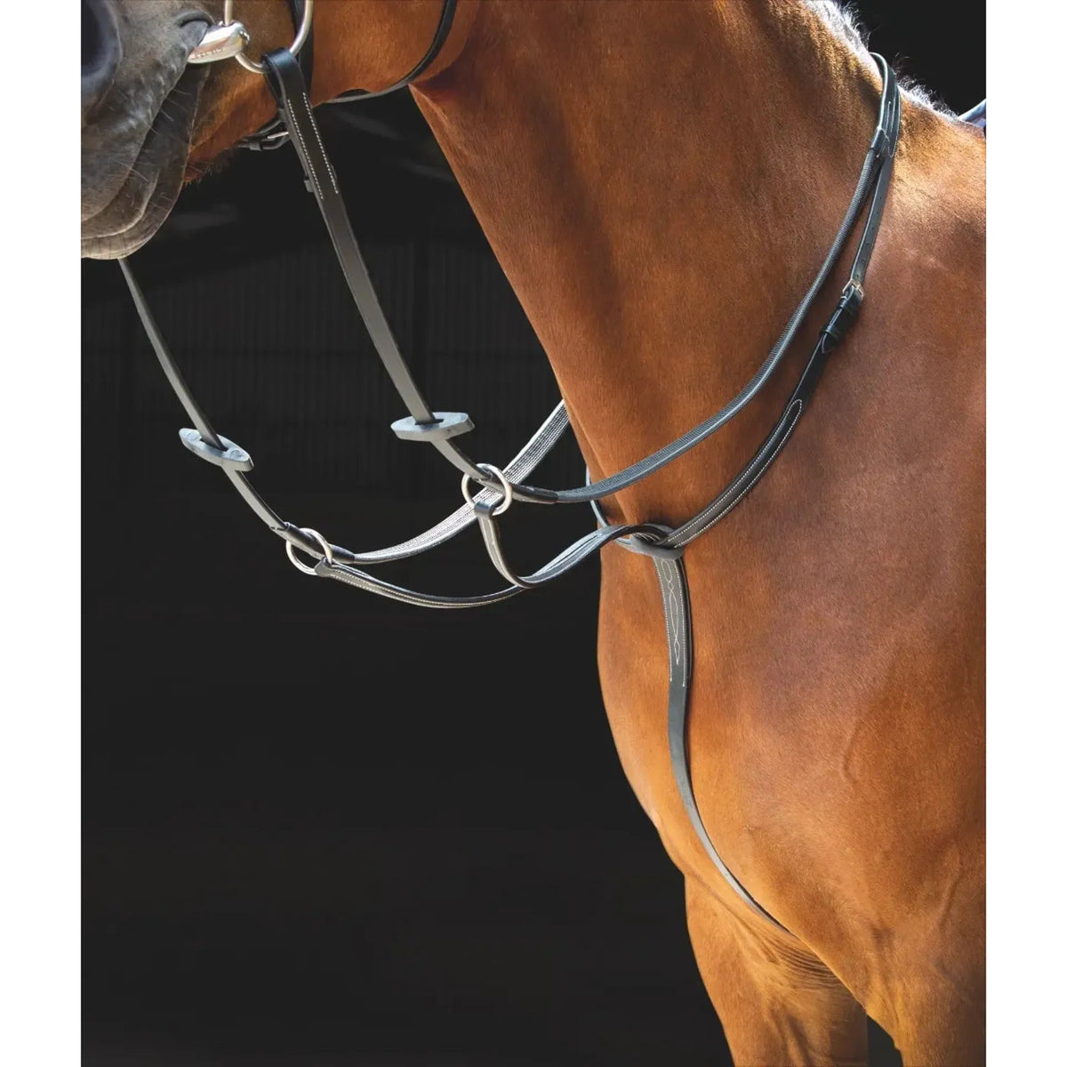 Shires Salisbury Running Martingale - Nags Essentials