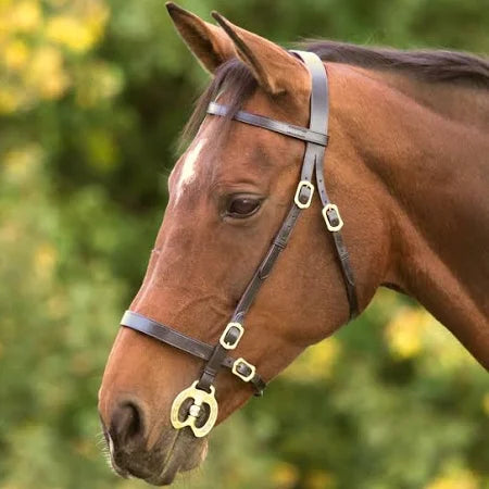 Fancy Stitched In Hand Bridle - Havana