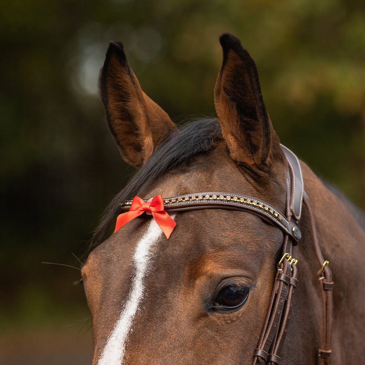 Small Warning Ribbon - Nags Essentials