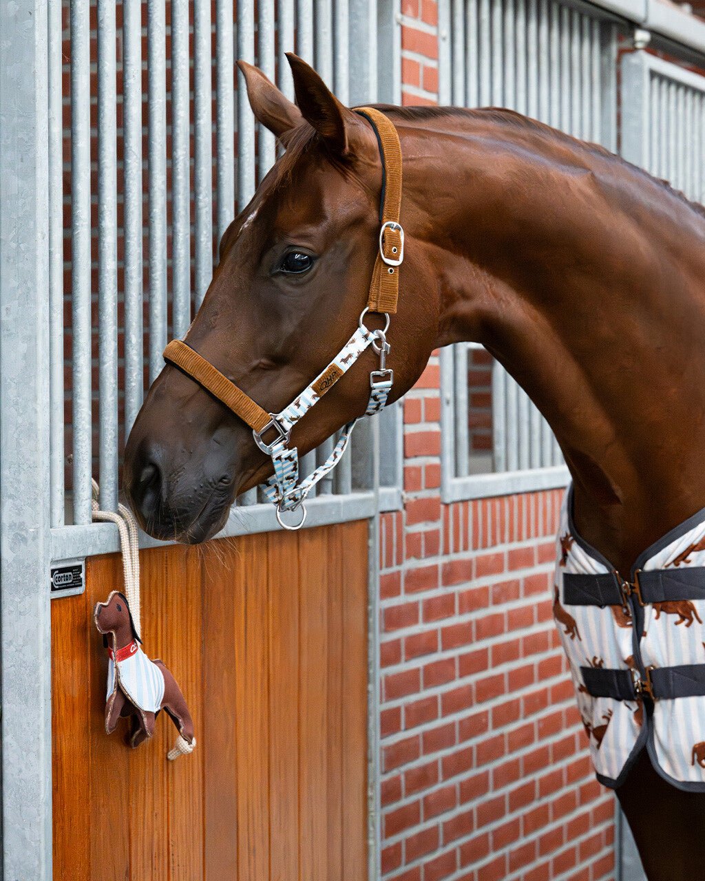 Stable Buddy 3D Horse Toy - Nags Essentials