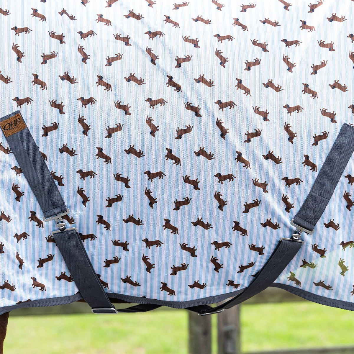 Stable Buddy Dachshund Print Fly Rug - Nags Essentials