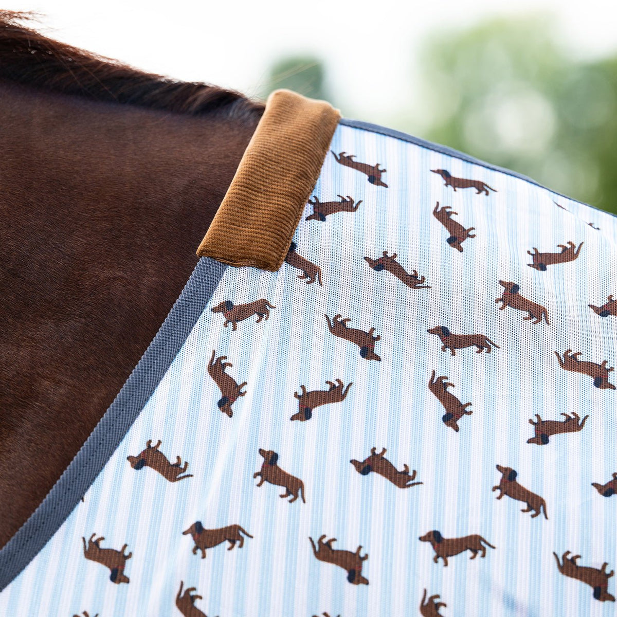 Stable Buddy Dachshund Print Fly Rug - Nags Essentials