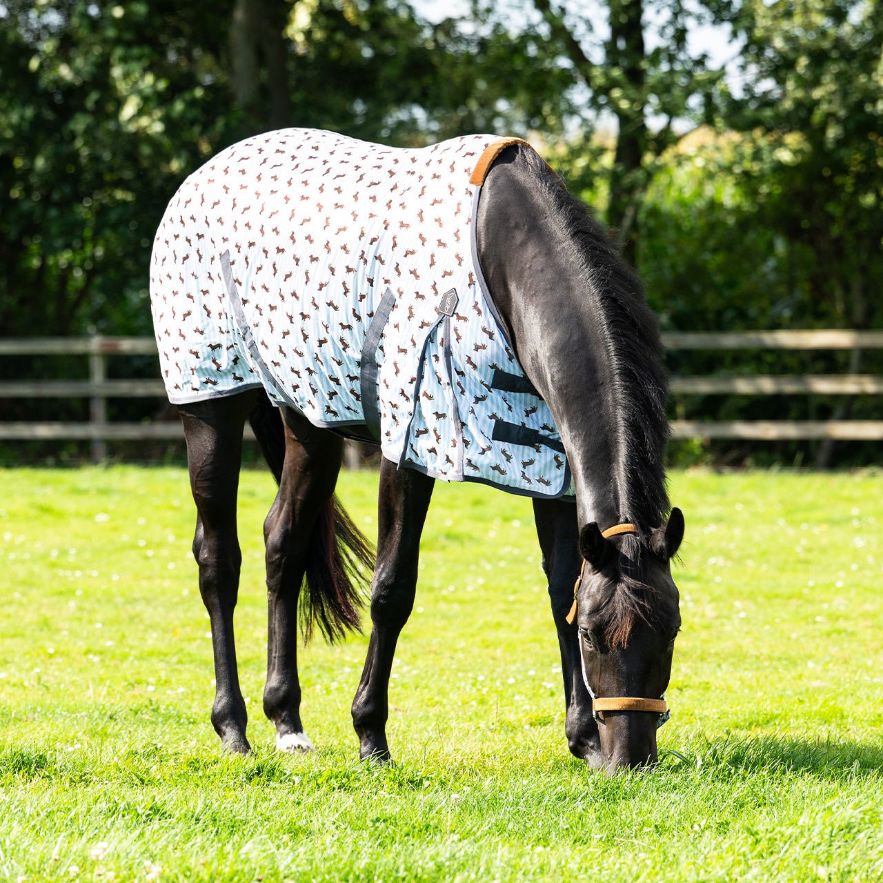 Stable Buddy Dachshund Print Fly Rug - Nags Essentials