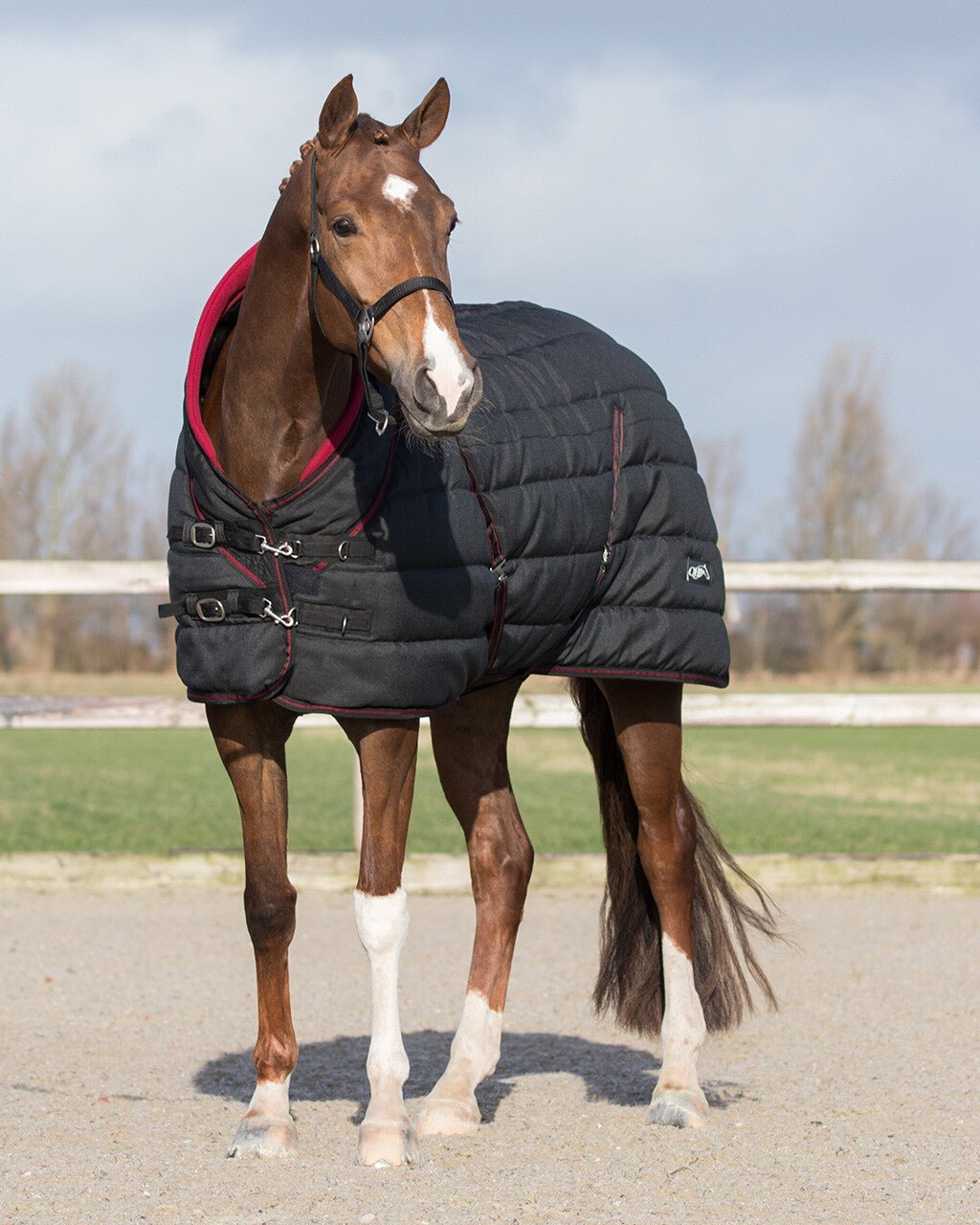 Stable Rug Luxury Collection 200g - Nags Essentials