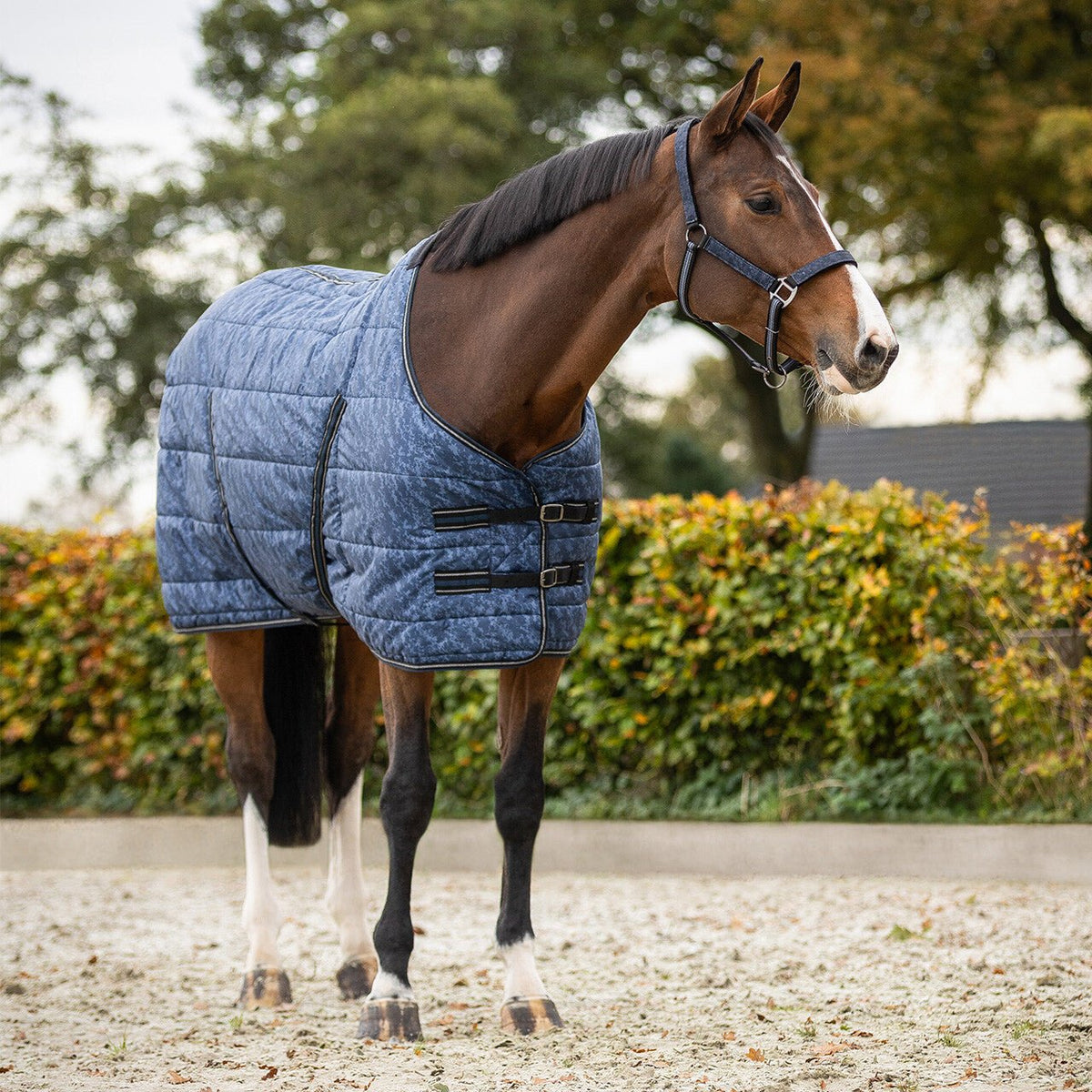 Stable Rug Start Collection 200g - Nags Essentials