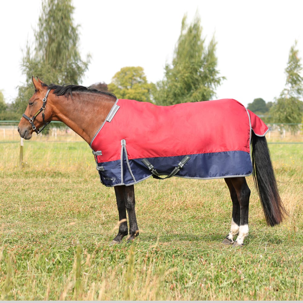 StormX Empra 200g Turnout Rug with Detachable Neck - Nags Essentials