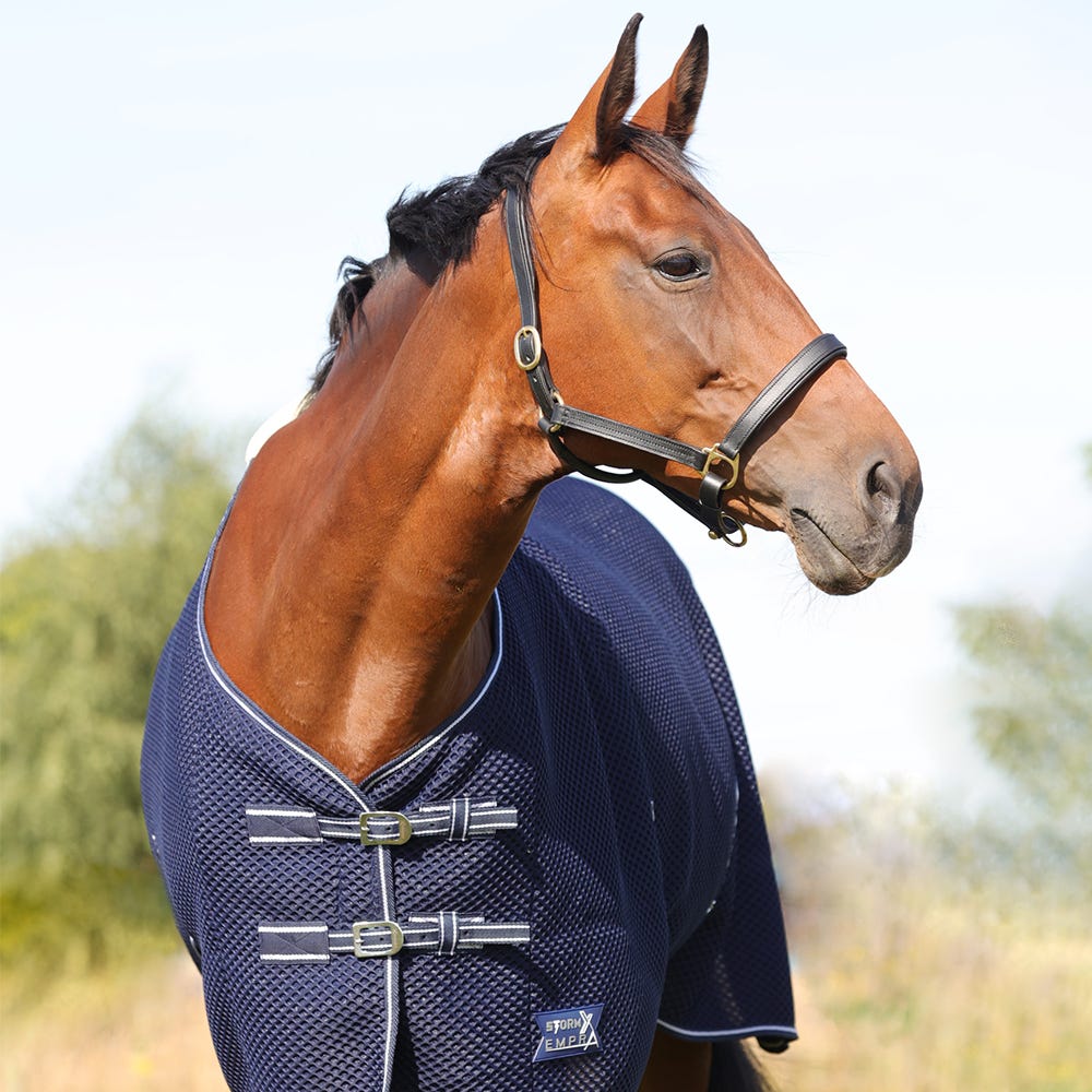 StormX Empra AirFlex 3D Rug - Nags Essentials