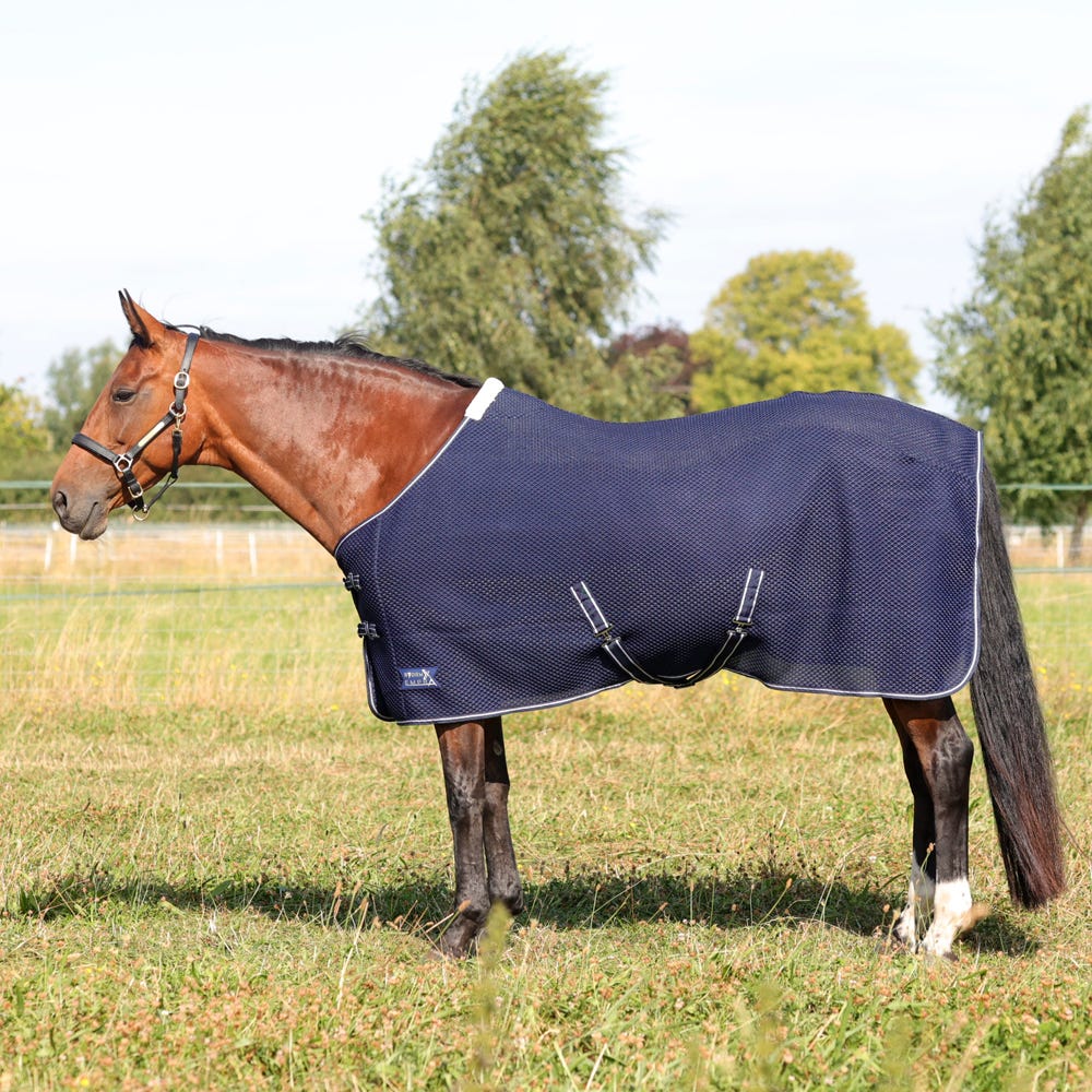 StormX Empra AirFlex 3D Rug - Nags Essentials