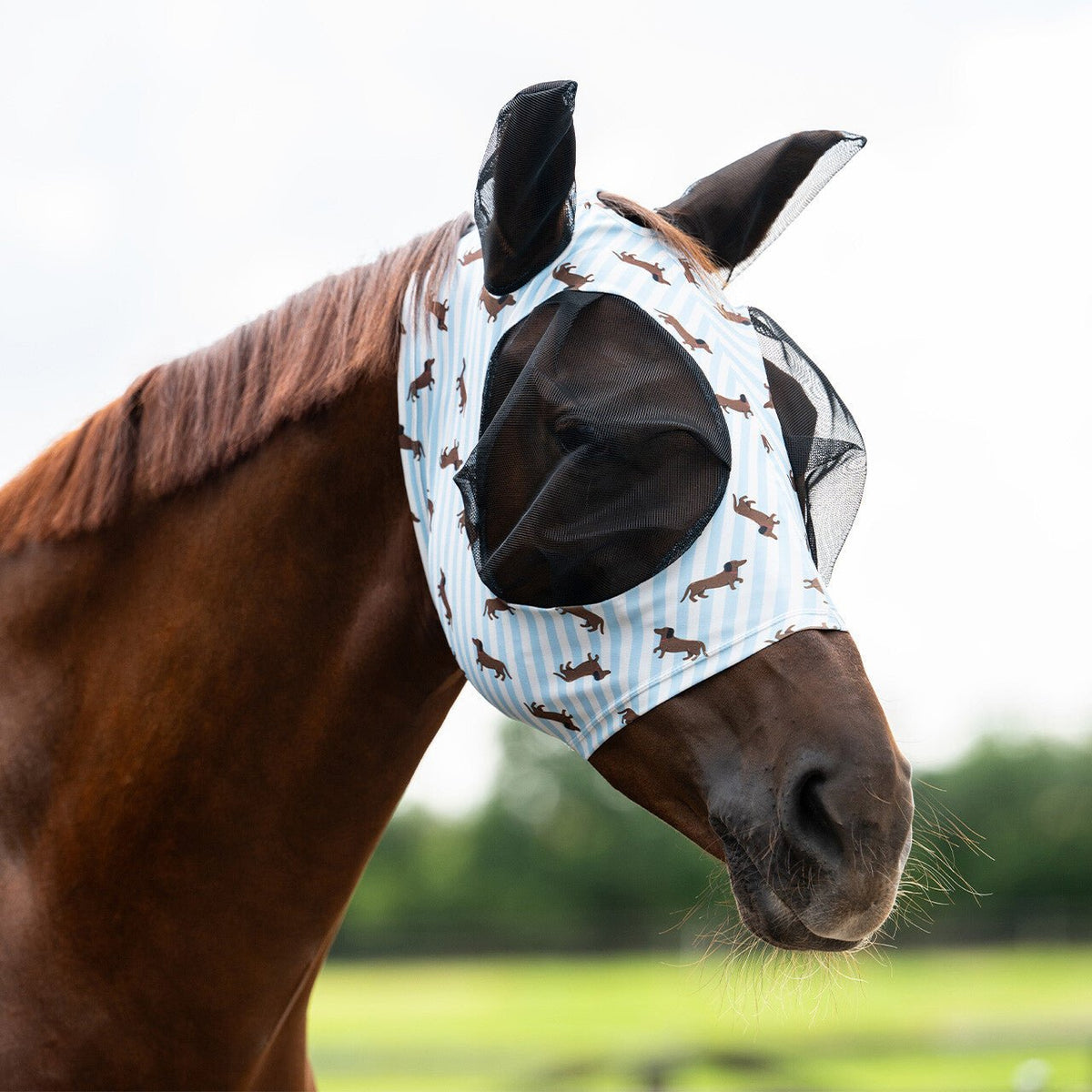 Superbug Fly Mask - Nags Essentials