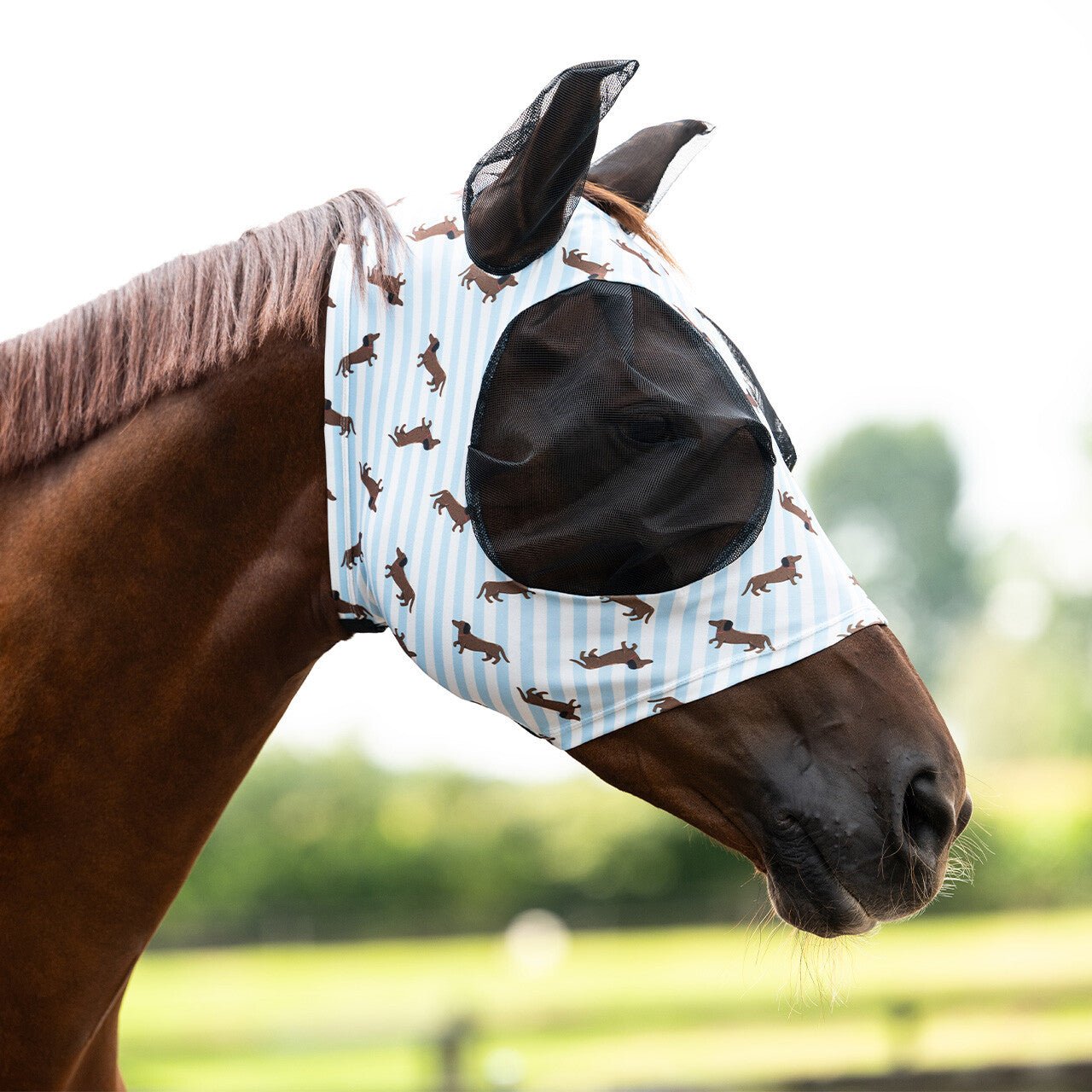 Superbug Fly Mask - Nags Essentials