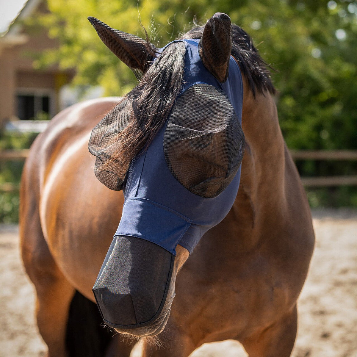 Superbug Fly Mask with Nose - Nags Essentials