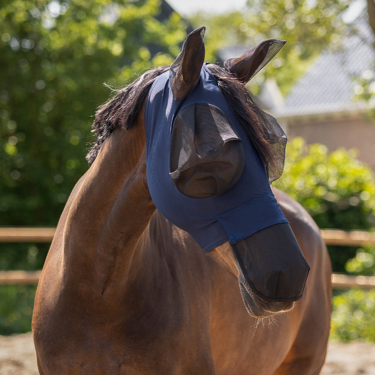 Superbug Fly Mask with Nose - Nags Essentials
