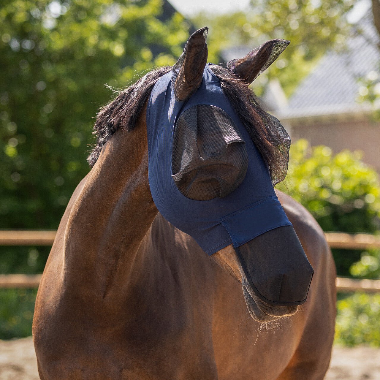 Superbug Fly Mask with Nose - Nags Essentials