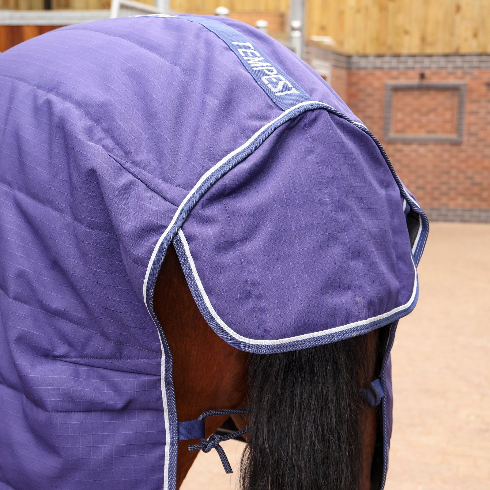 Tempest Original 100 Combo Stable Rug - Navy - Nags Essentials