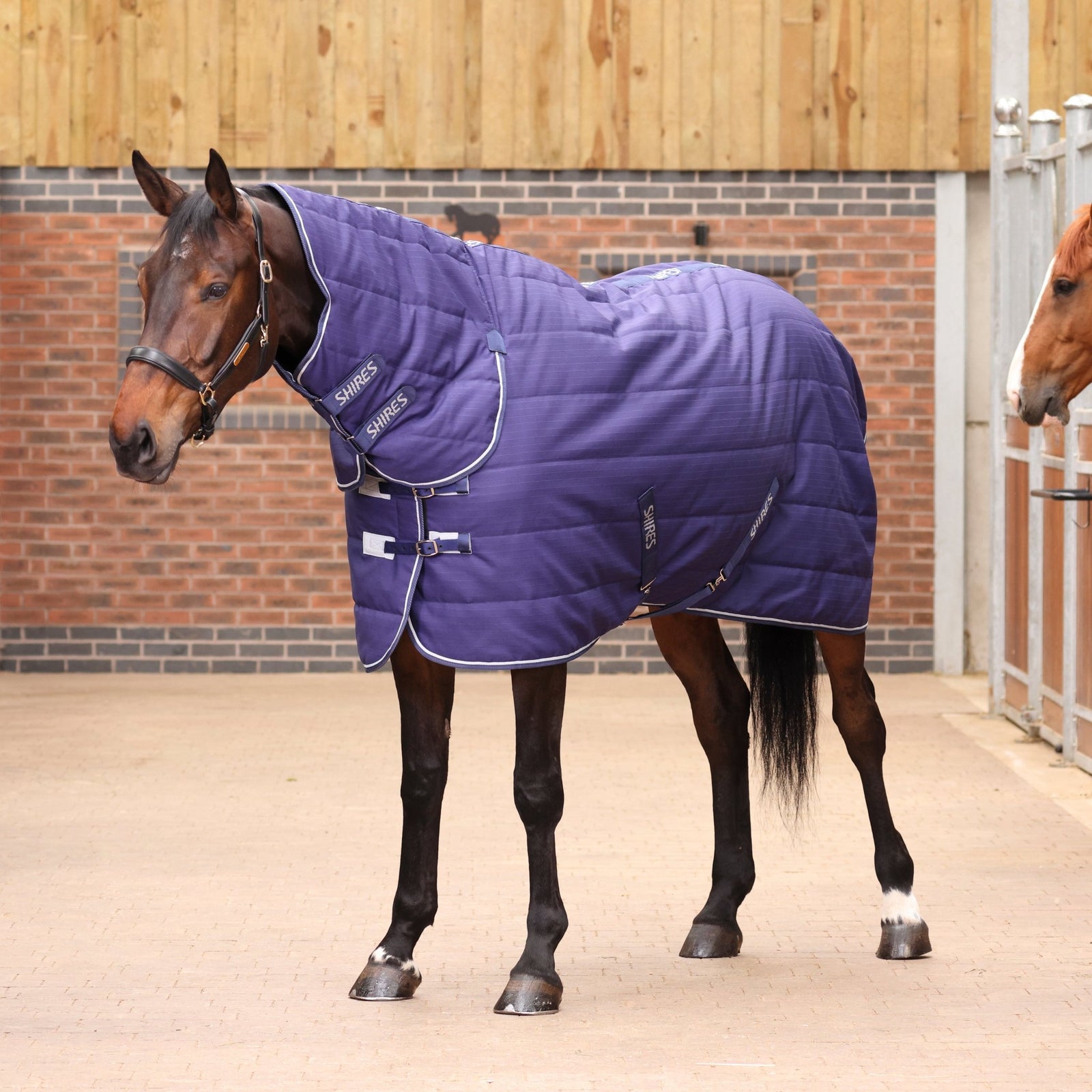 Tempest Original 100 Combo Stable Rug - Navy - Nags Essentials