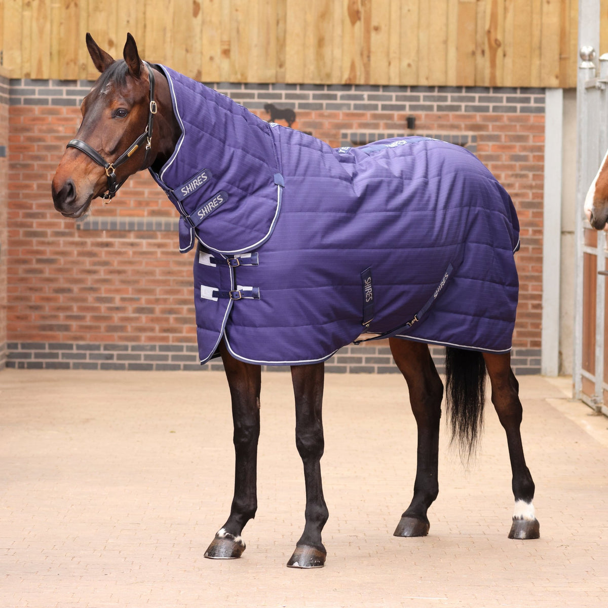 Tempest Original 100 Combo Stable Rug - Navy - Nags Essentials