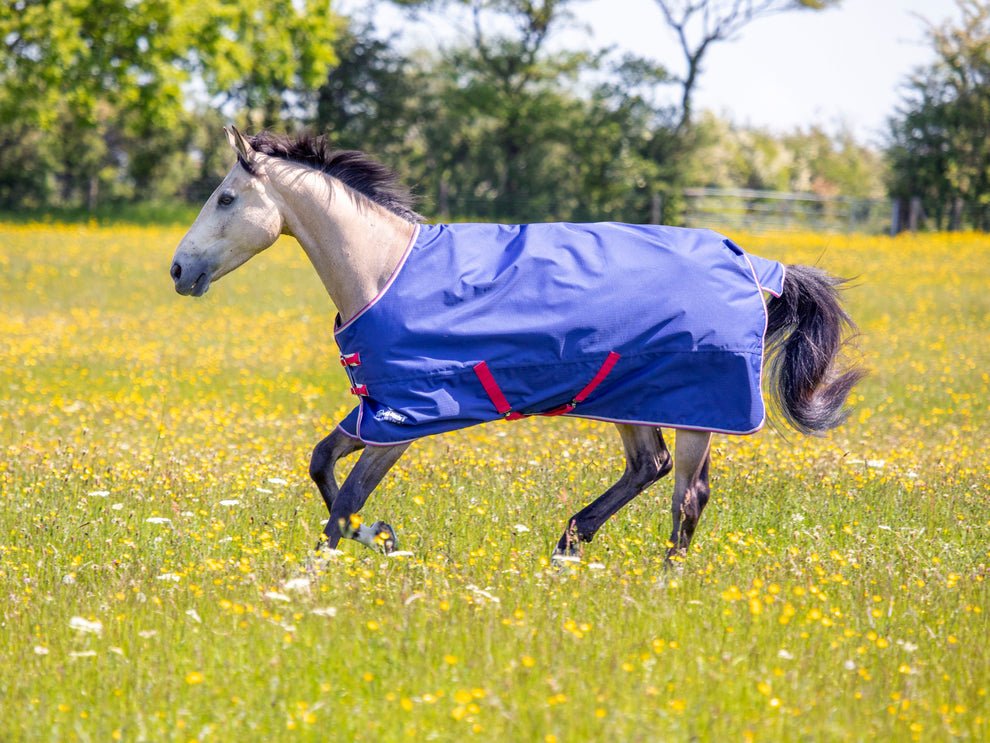 Tempest Original 100 Turnout Rug & Neck Set - Navy - Nags Essentials