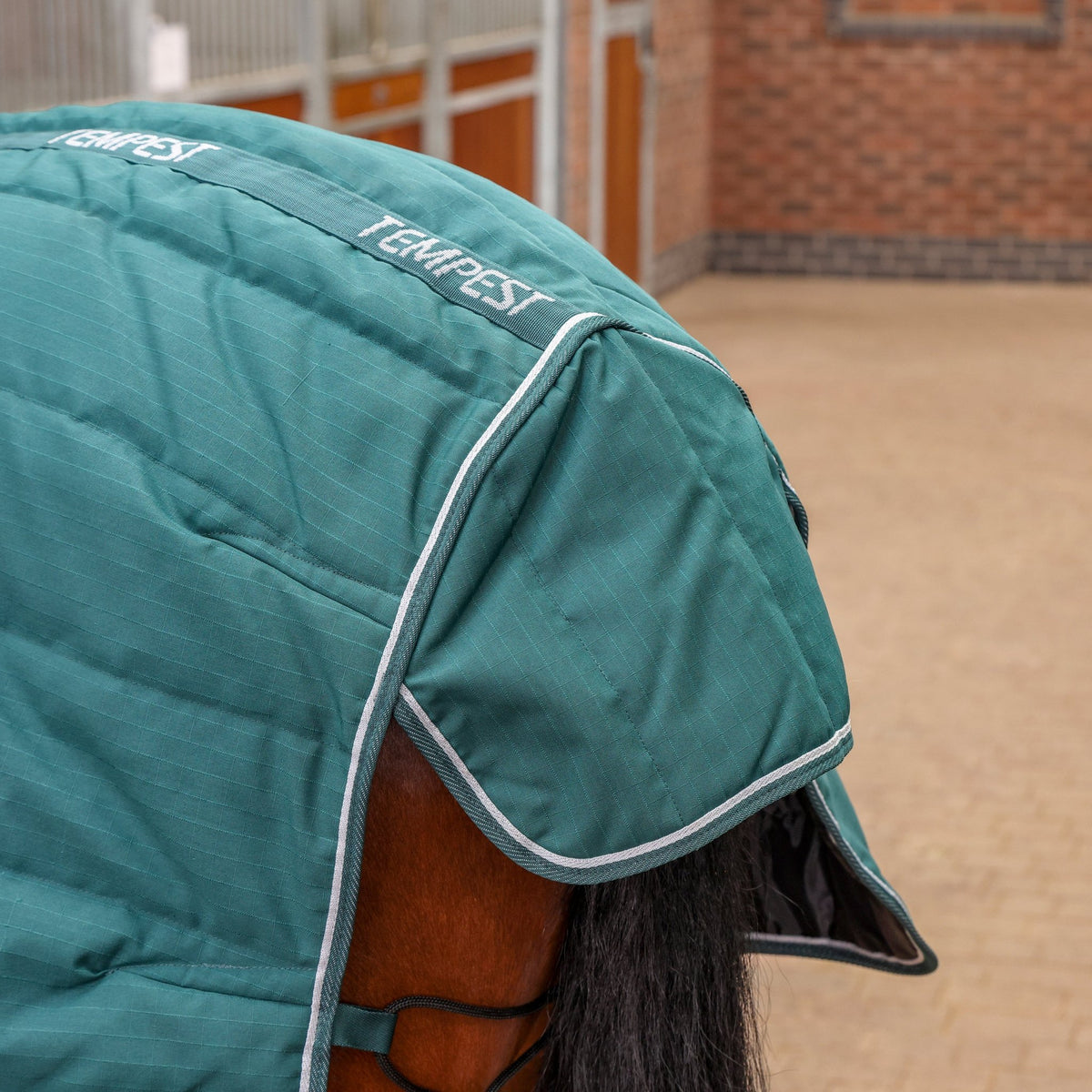 Tempest Original 200 Combo Stable Rug - Emerald - Nags Essentials