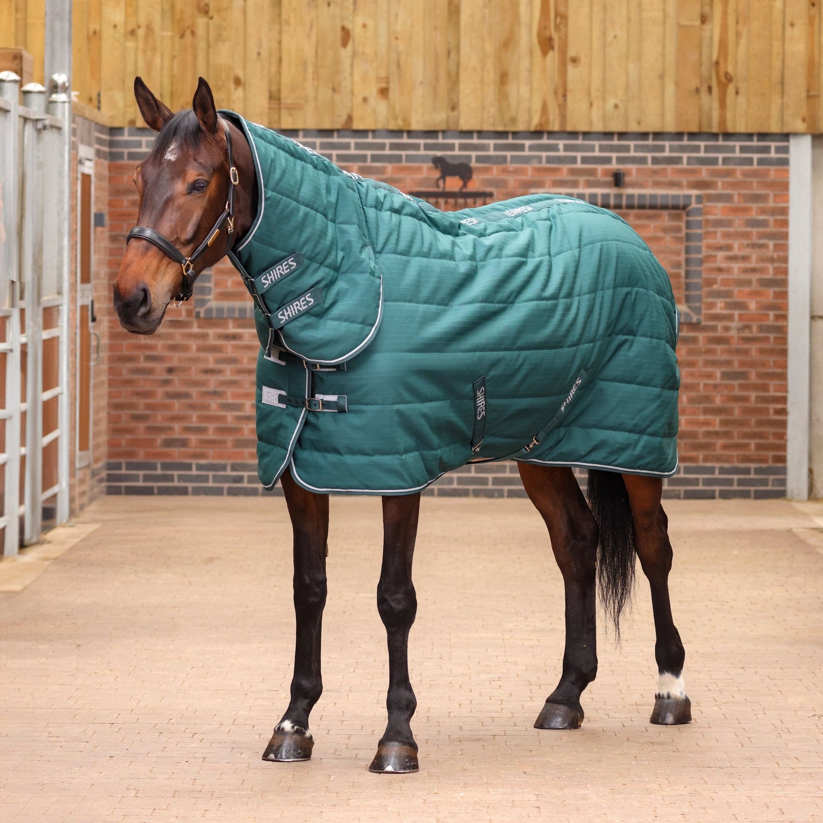 Tempest Original 200 Combo Stable Rug - Emerald - Nags Essentials