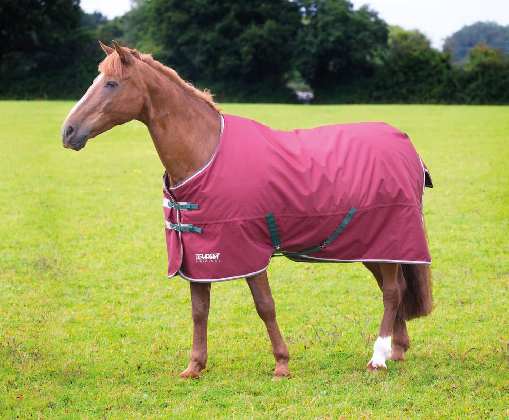 Tempest Original 200 Turnout Rug - Nags Essentials