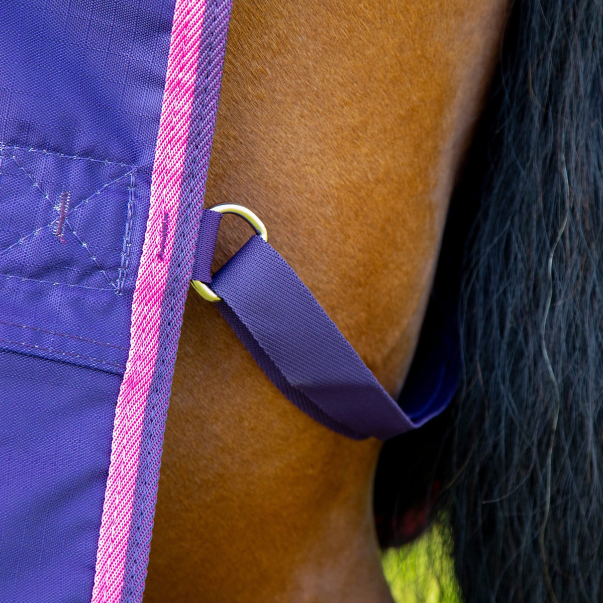 Tempest Original 200 Turnout Rug - Nags Essentials