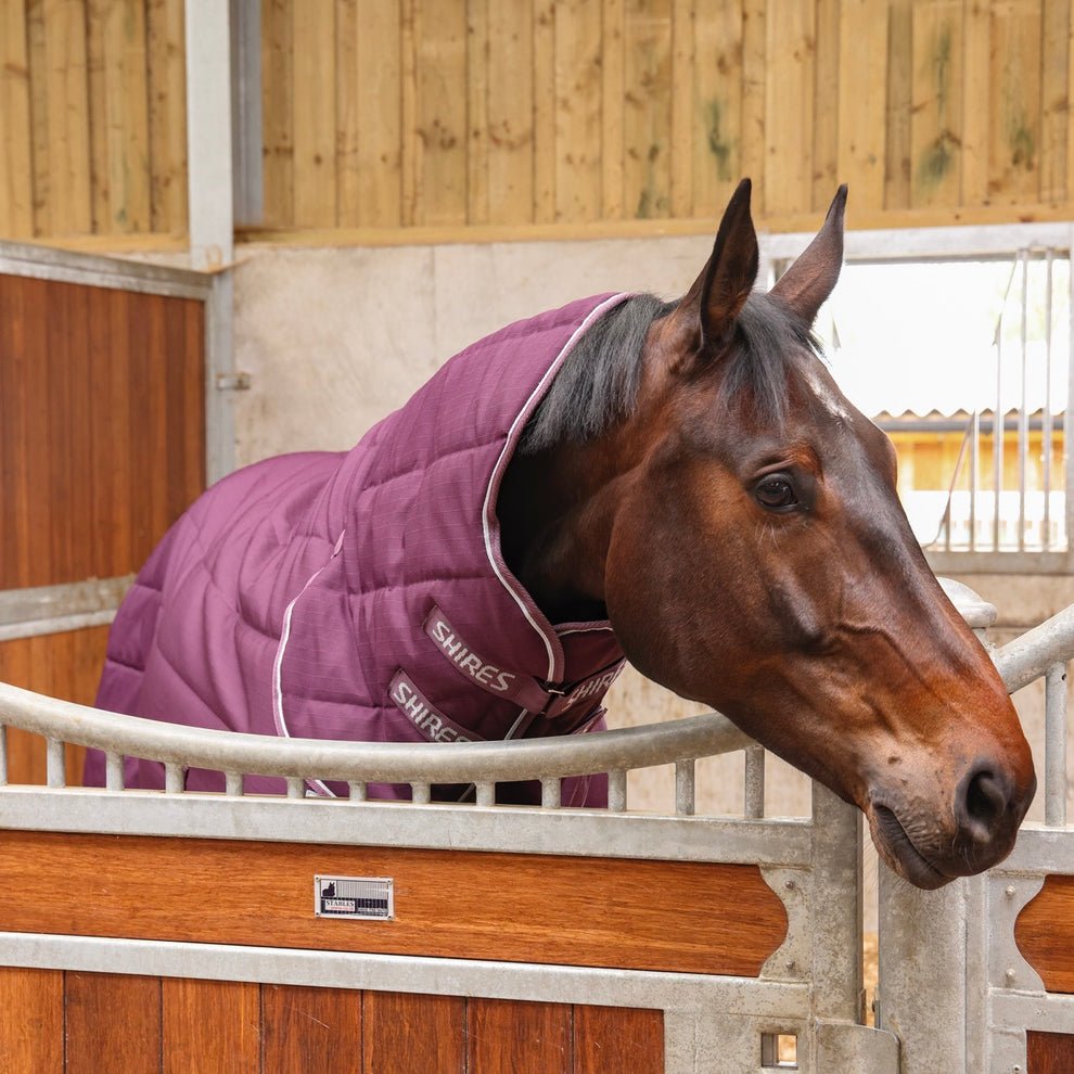 Tempest Original 300 Combo Stable Rug - Nags Essentials