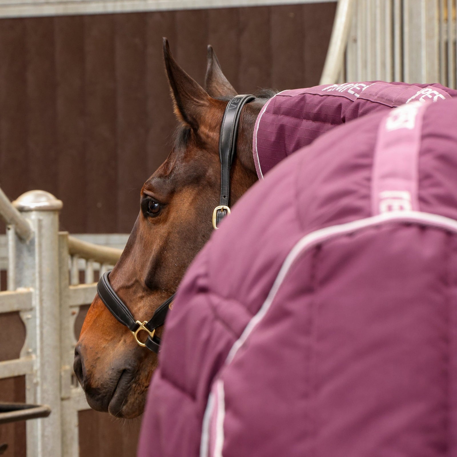 Tempest Original 300 Combo Stable Rug - Nags Essentials