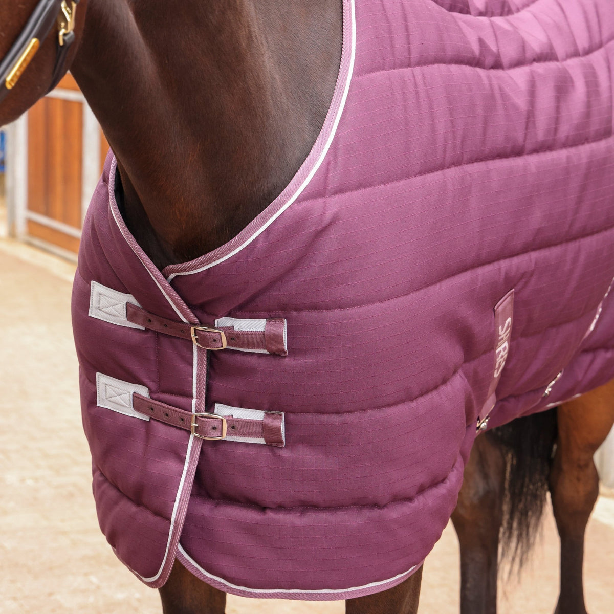 Tempest Original 300 Stable Rug - Nags Essentials