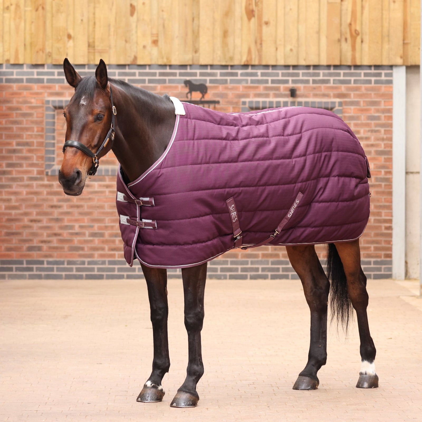 Tempest Original 300 Stable Rug - Nags Essentials