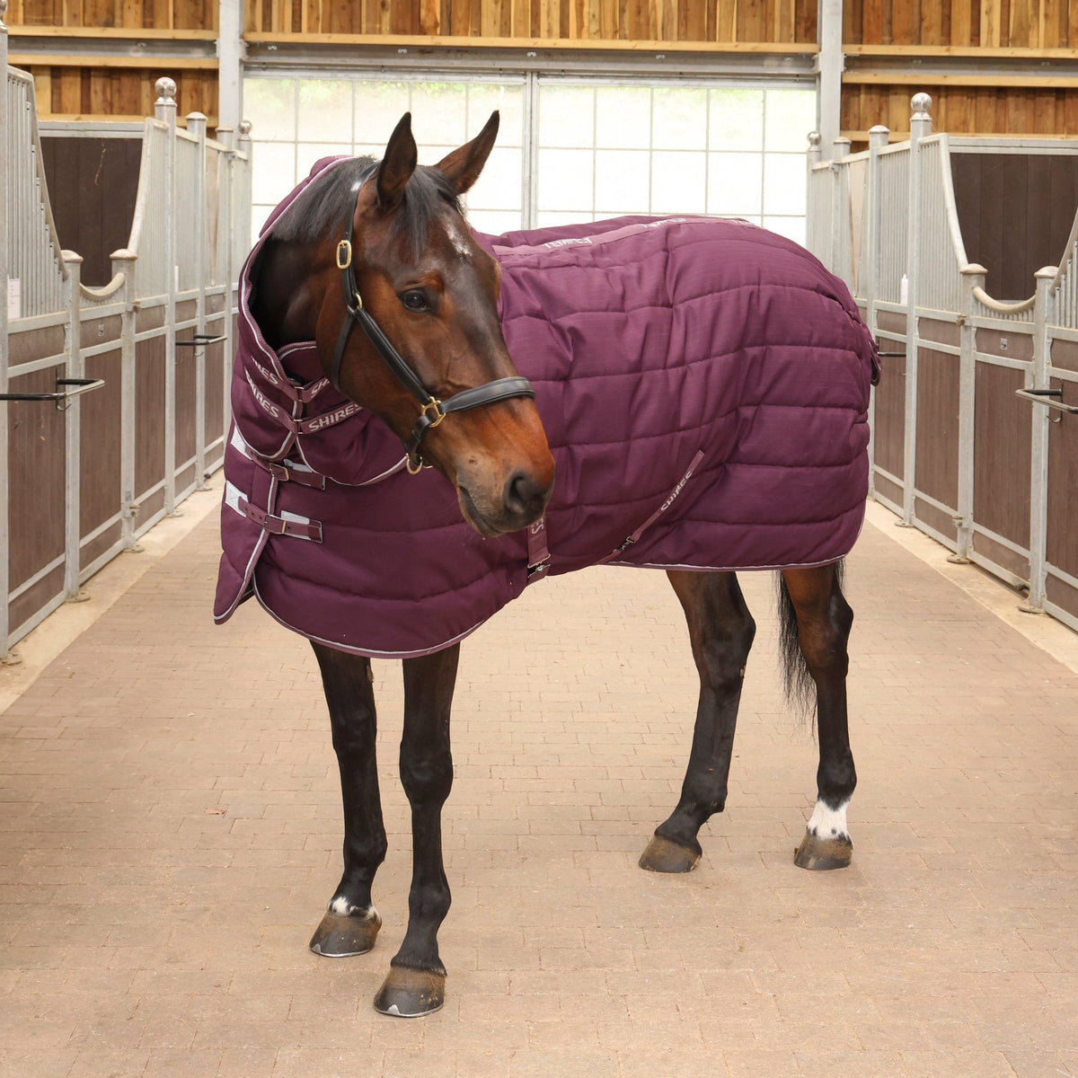 Tempest Original 300 Stable Rug & Neck - Burgundy - Nags Essentials