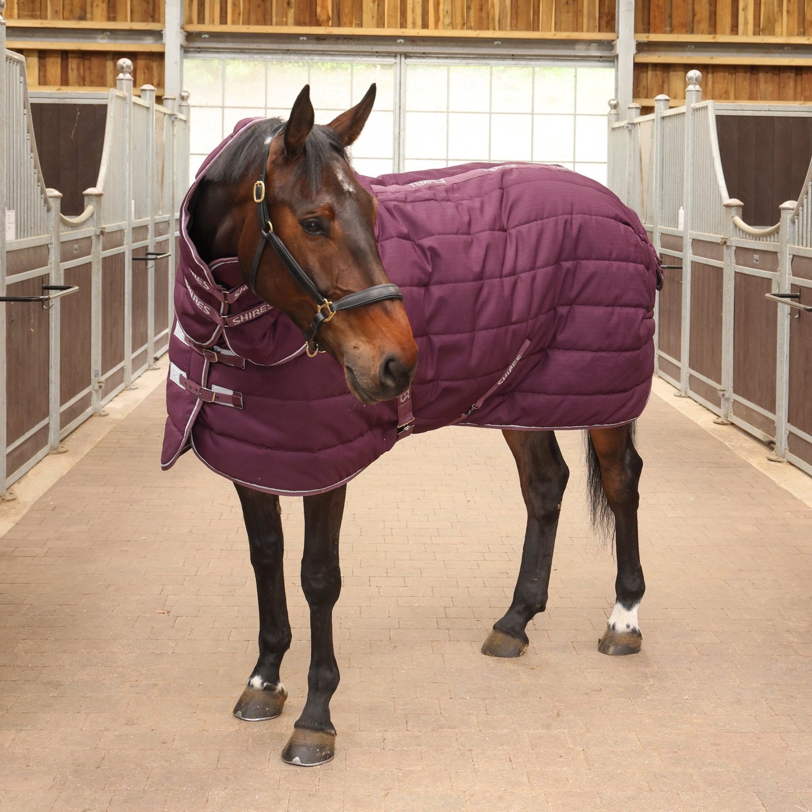 Tempest Original 300 Stable Rug & Neck - Burgundy - Nags Essentials