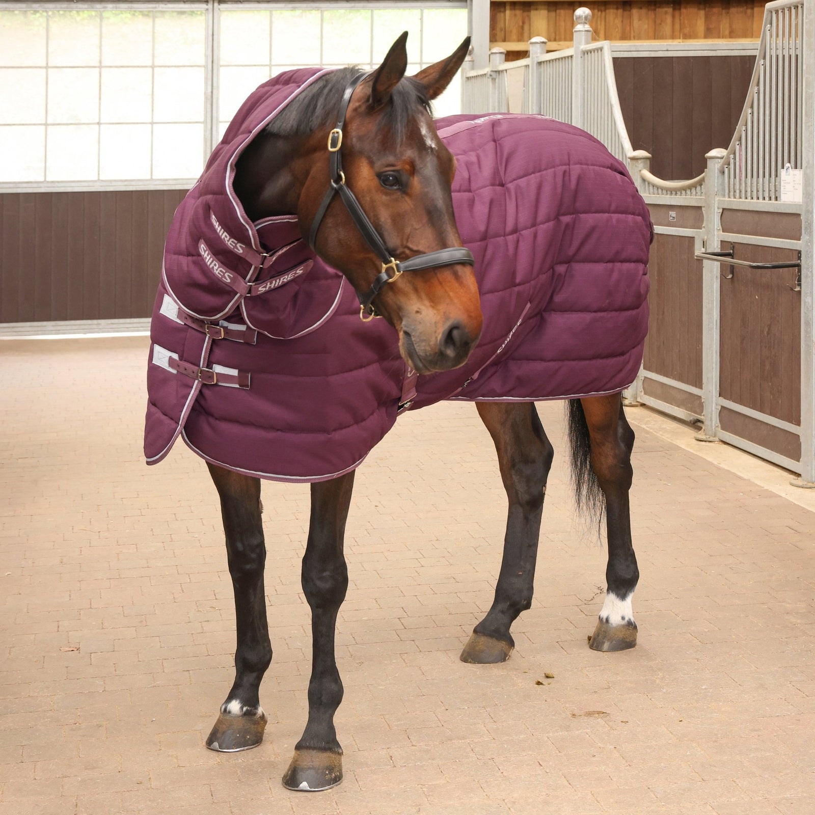 Tempest Original 300 Stable Rug & Neck - Burgundy - Nags Essentials