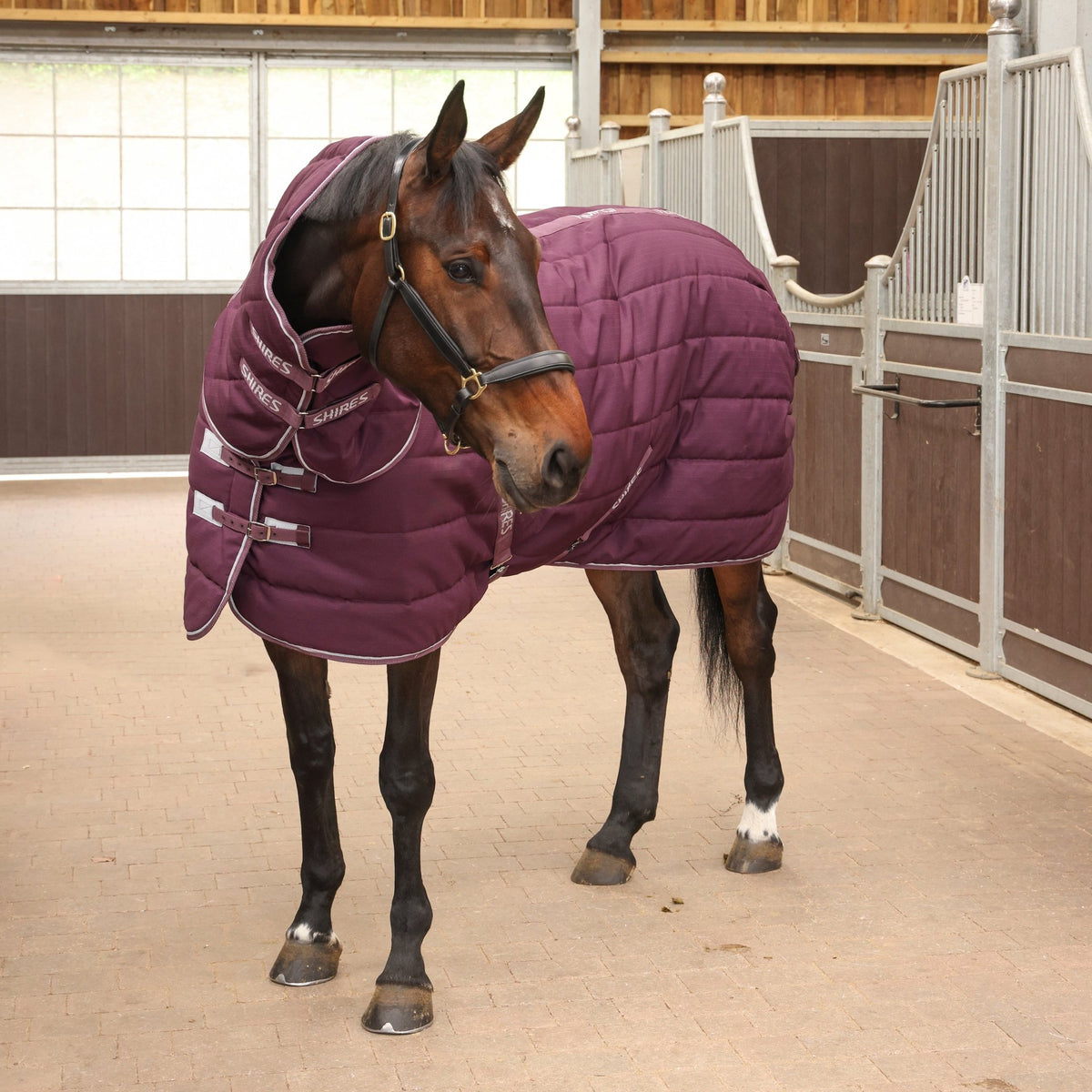 Tempest Original 300 Stable Rug & Neck - Burgundy - Nags Essentials
