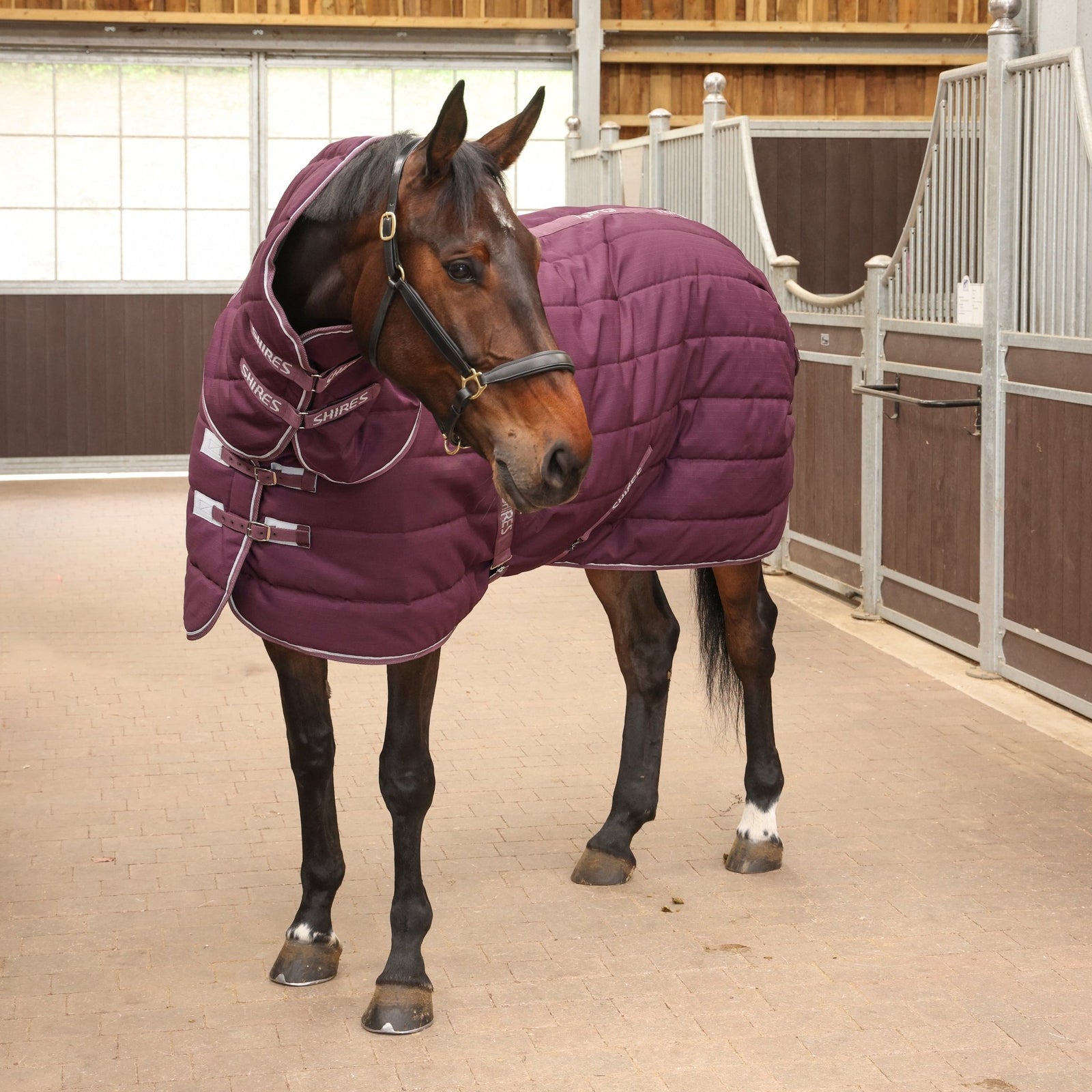 Tempest Original 300 Stable Rug & Neck - Burgundy - Nags Essentials
