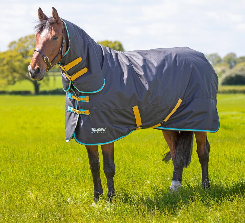 Tempest Original 300 Turnout Combo Rug - Black - Nags Essentials