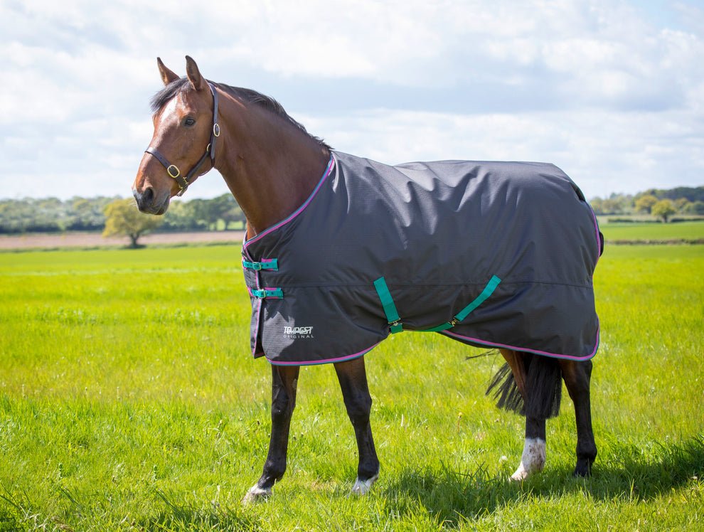 Tempest Original 300 Turnout Rug - Black - Nags Essentials