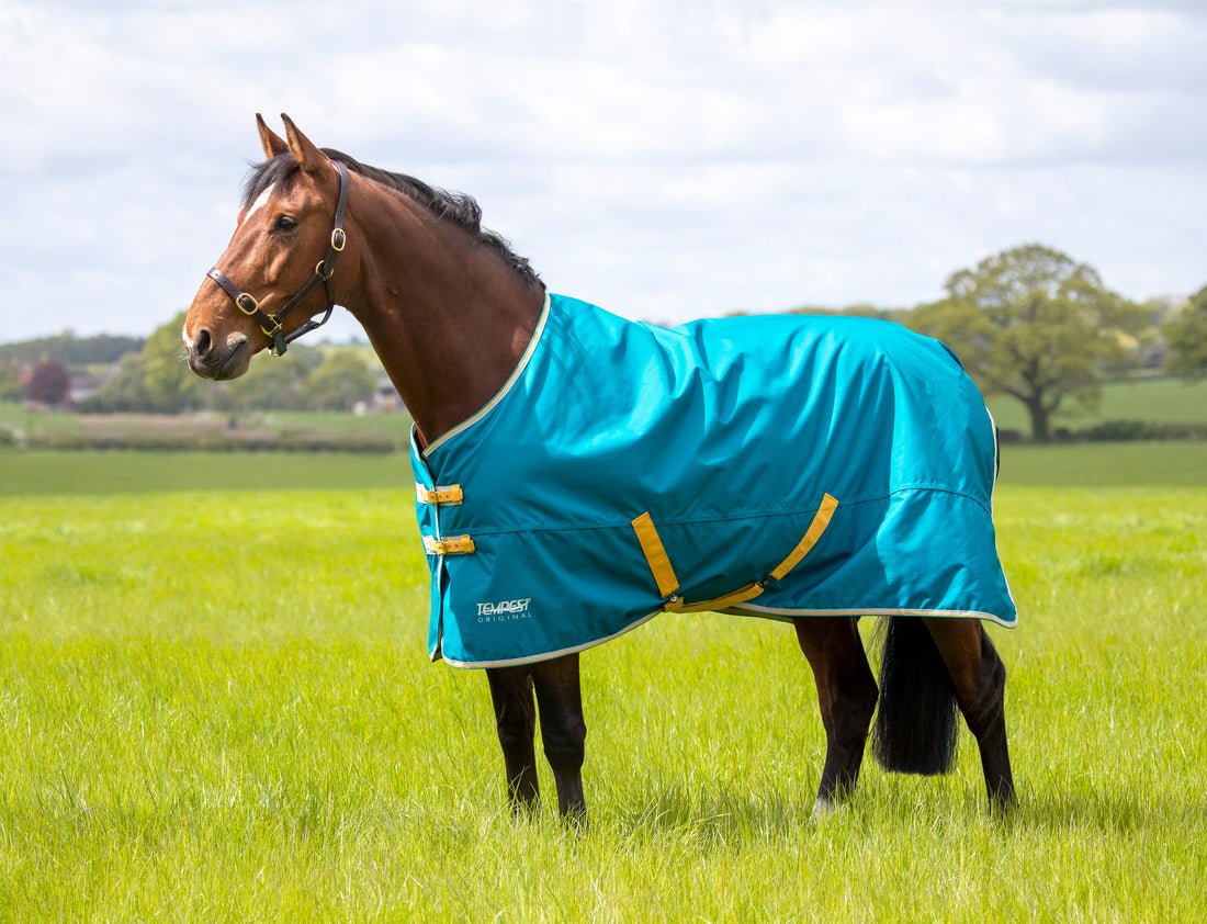 Tempest Original 50 Turnout Rug - Blue - Nags Essentials