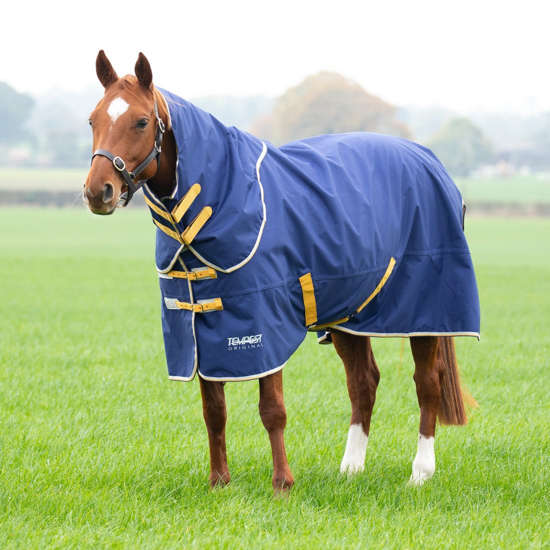 Tempest Original 50 Turnout Rug &amp; Neck Set - Navy - Nags Essentials