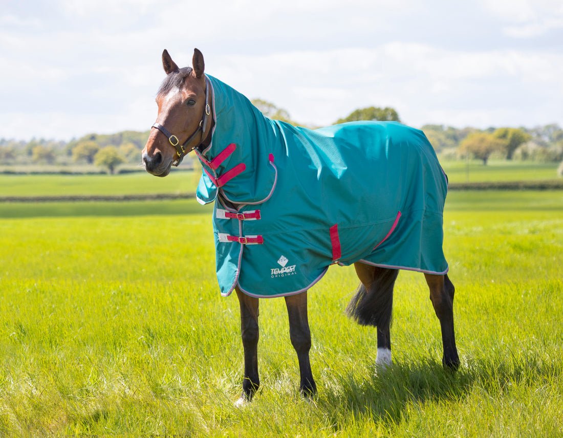 Tempest Original Air Motion Combo Turnout Rug - Green - Nags Essentials