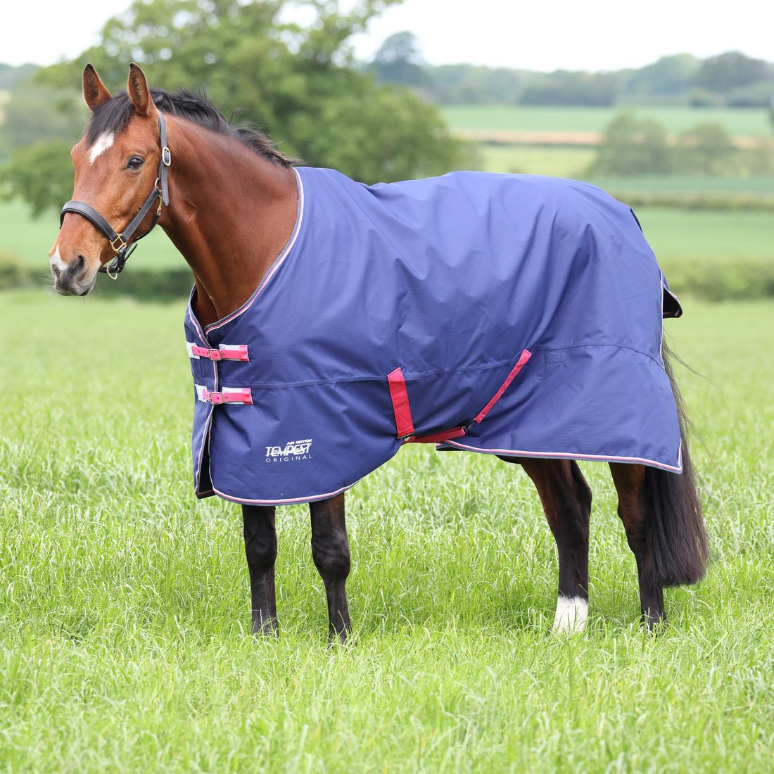Tempest Original Air Motion Turnout Rug - Navy - Nags Essentials