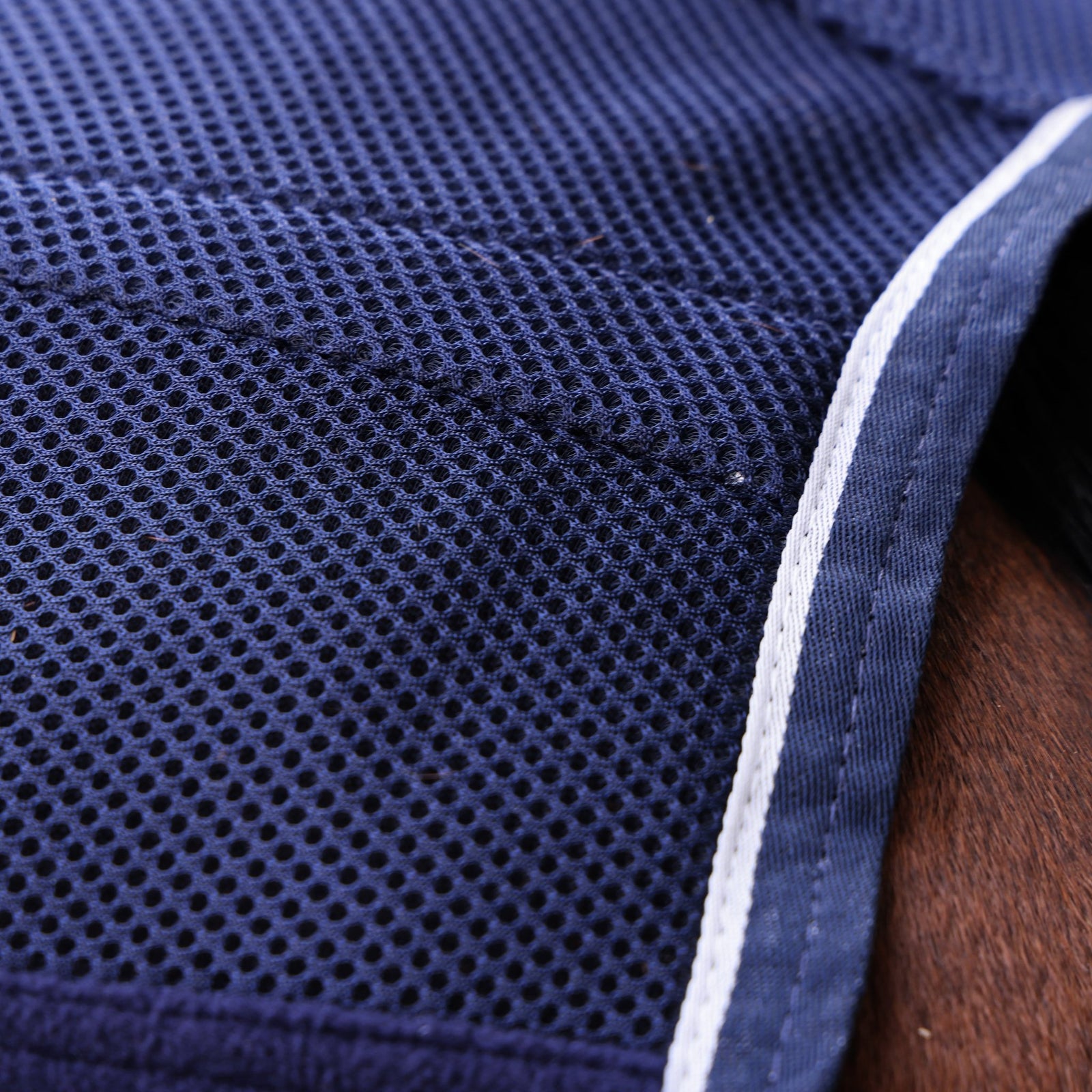Tempest Original All - Season Air Motion Cooler - Navy - Nags Essentials