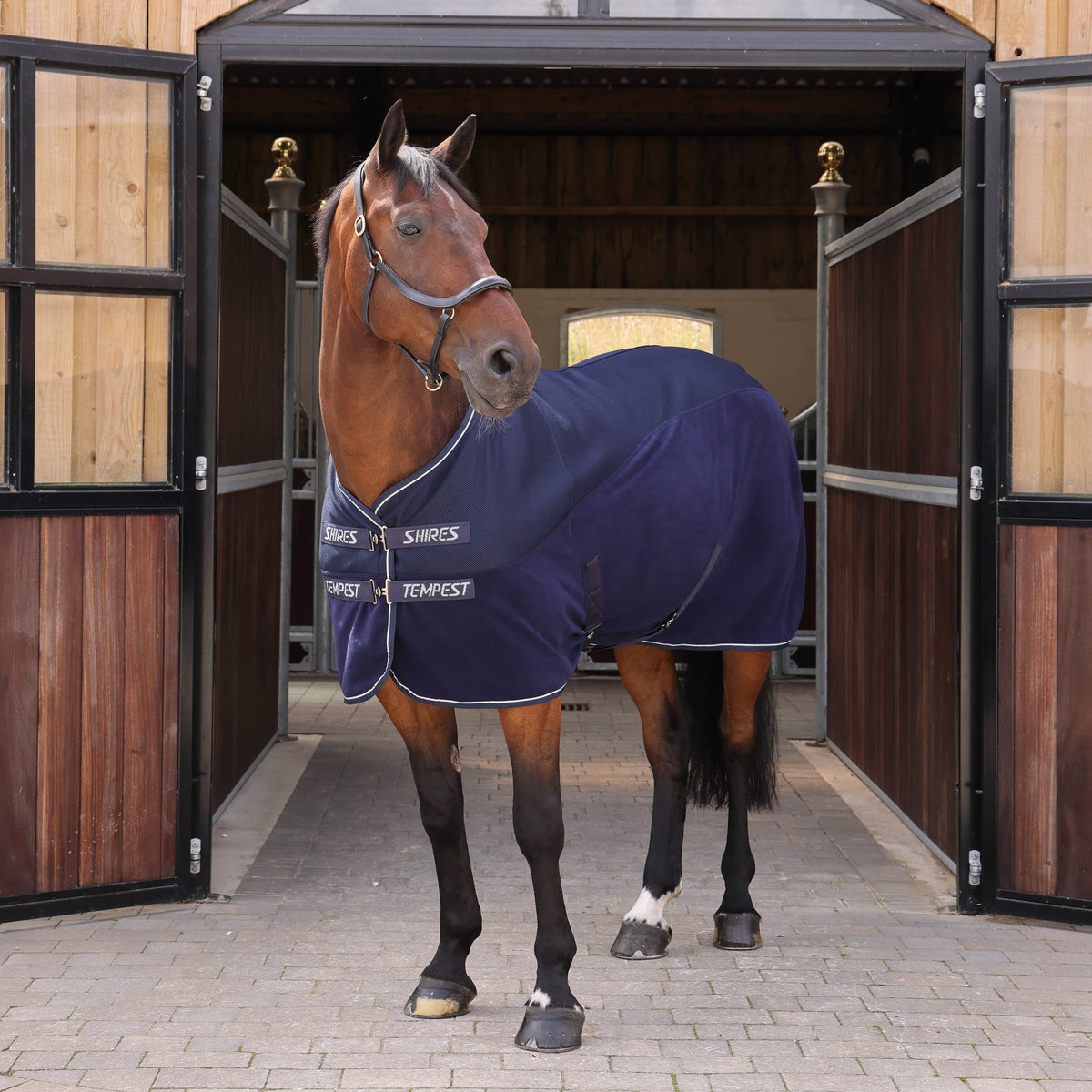 Tempest Original All - Season Air Motion Cooler - Navy - Nags Essentials
