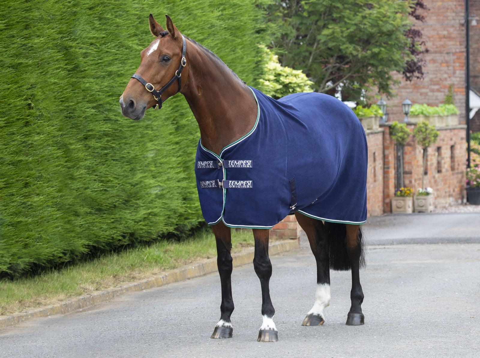 Tempest Original Fleece Rug - Nags Essentials
